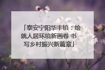 泰安宁阳华丰镇：绘就人居环境新画卷 书写乡村振兴新篇章