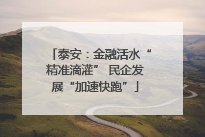 泰安：金融活水“精准滴灌” 民企发展“加速快跑”