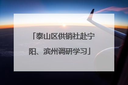泰山区供销社赴宁阳、滨州调研学习