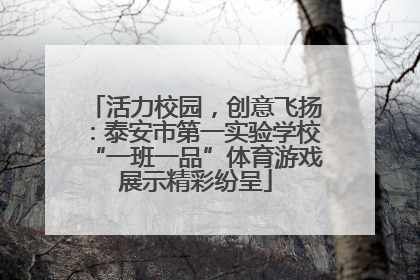 活力校园，创意飞扬：泰安市第一实验学校“一班一品”体育游戏展示精彩纷呈
