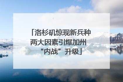 洛杉矶惊现新兵种 两大因素引爆加州“内战”升级