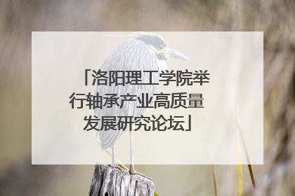 洛阳理工学院举行轴承产业高质量发展研究论坛