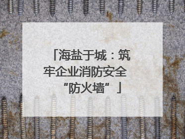 海盐于城：筑牢企业消防安全“防火墙”