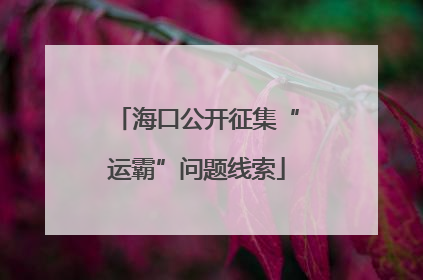 海口公开征集“运霸”问题线索