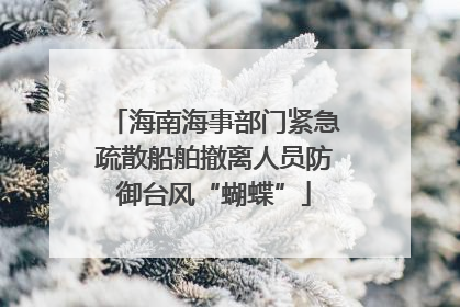 海南海事部门紧急疏散船舶撤离人员防御台风“蝴蝶”