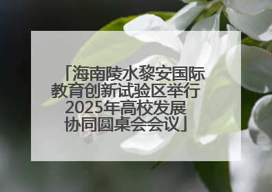 海南陵水黎安国际教育创新试验区举行2025年高校发展协同圆桌会会议