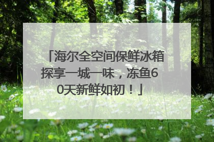 海尔全空间保鲜冰箱探享一城一味，冻鱼60天新鲜如初！