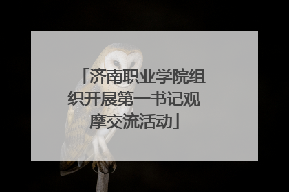 济南职业学院组织开展第一书记观摩交流活动