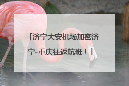 济宁大安机场加密济宁-重庆往返航班！