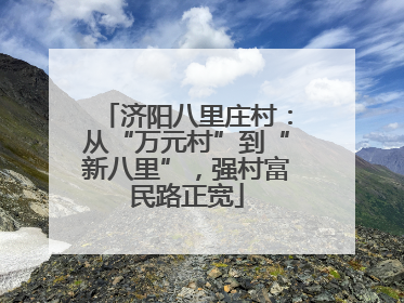 济阳八里庄村：从“万元村”到“新八里”，强村富民路正宽