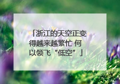 浙江的天空正变得越来越繁忙 何以领飞“低空”