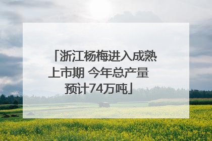 浙江杨梅进入成熟上市期 今年总产量预计74万吨