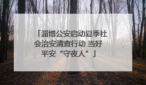 淄博公安启动夏季社会治安清查行动 当好平安“守夜人”