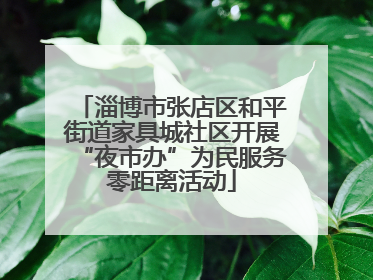淄博市张店区和平街道家具城社区开展“夜市办”为民服务零距离活动
