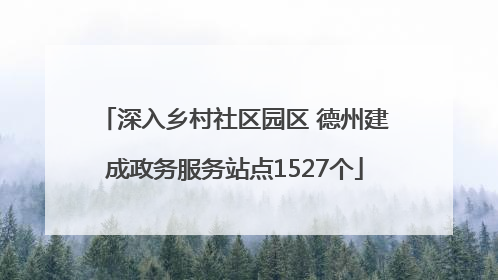 深入乡村社区园区 德州建成政务服务站点1527个
