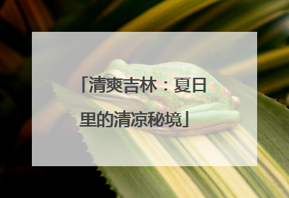 清爽吉林：夏日里的清凉秘境