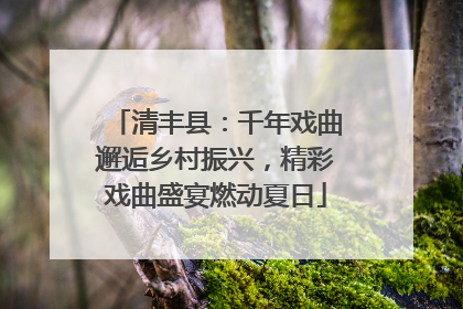 清丰县：千年戏曲邂逅乡村振兴，精彩戏曲盛宴燃动夏日