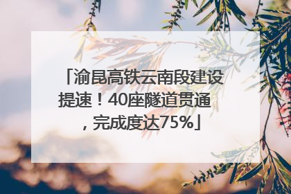 渝昆高铁云南段建设提速！40座隧道贯通，完成度达75%