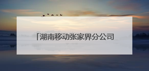 湖南移动张家界分公司“牵手”省机场公安局 共促低空经济创新发展