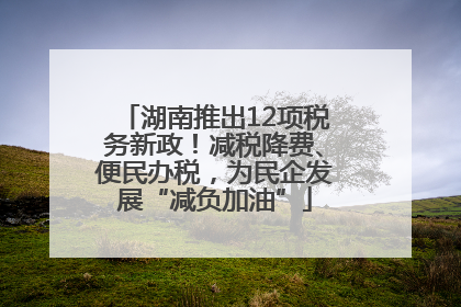 湖南推出12项税务新政！减税降费、便民办税，为民企发展“减负加油”