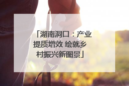 湖南洞口：产业提质增效 绘就乡村振兴新图景