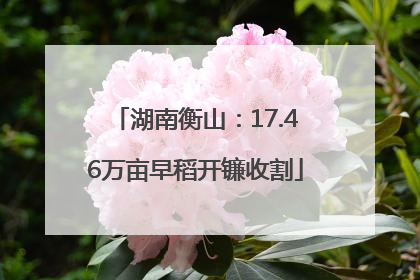 湖南衡山：17.46万亩早稻开镰收割