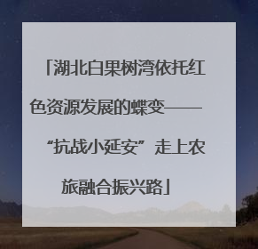 湖北白果树湾依托红色资源发展的蝶变——“抗战小延安”走上农旅融合振兴路