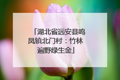 湖北省远安县鸣凤镇北门村：竹林遍野绿生金