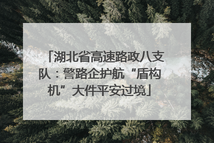 湖北省高速路政八支队：警路企护航“盾构机”大件平安过境