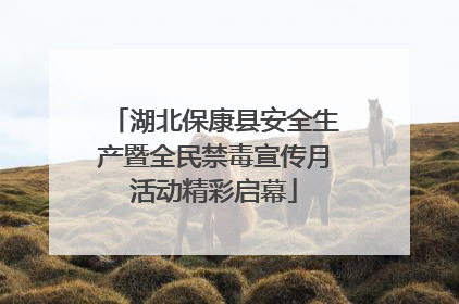 湖北保康县安全生产暨全民禁毒宣传月活动精彩启幕