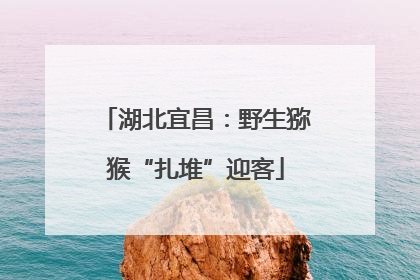 湖北宜昌：野生猕猴“扎堆”迎客