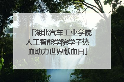 湖北汽车工业学院人工智能学院学子热血助力世界献血日