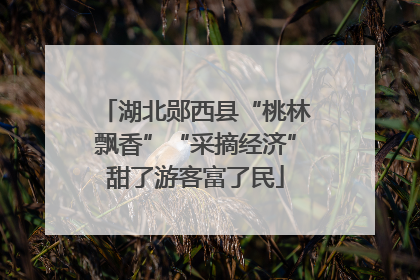 湖北郧西县“桃林飘香”“采摘经济”甜了游客富了民