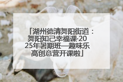 湖州德清舞阳街道：舞阳知己幸福课·2025年暑期班—趣味乐高创意营开课啦
