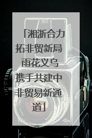 湘浙合力拓非贸新局 雨花义乌携手共建中非贸易新通道