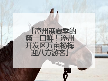 漳州港夏季的第一口鲜！漳州开发区万亩杨梅迎八方游客