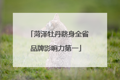 菏泽牡丹跻身全省品牌影响力第一