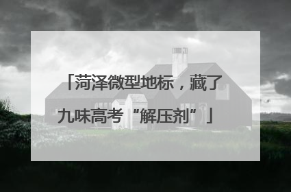 菏泽微型地标，藏了九味高考“解压剂”