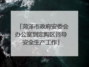 菏泽市政府安委会办公室到定陶区督导安全生产工作