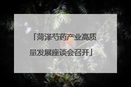 菏泽芍药产业高质量发展座谈会召开