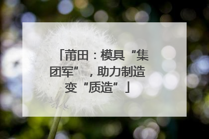 莆田：模具“集团军”，助力制造变“质造”