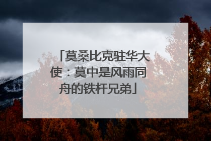 莫桑比克驻华大使：莫中是风雨同舟的铁杆兄弟