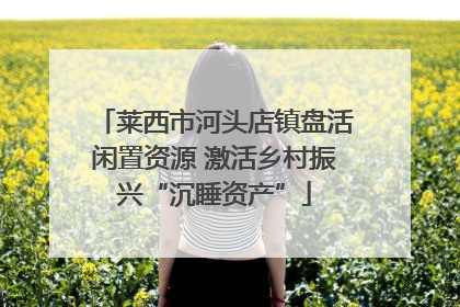 莱西市河头店镇盘活闲置资源 激活乡村振兴“沉睡资产”
