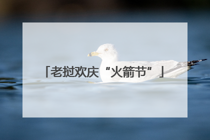 老挝欢庆“火箭节”
