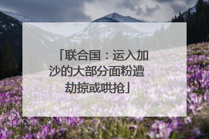 联合国：运入加沙的大部分面粉遭劫掠或哄抢