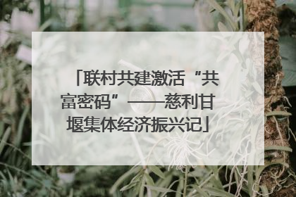 联村共建激活“共富密码”——慈利甘堰集体经济振兴记