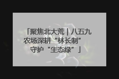 聚焦北大荒｜八五九农场深耕“林长制” 守护“生态绿”