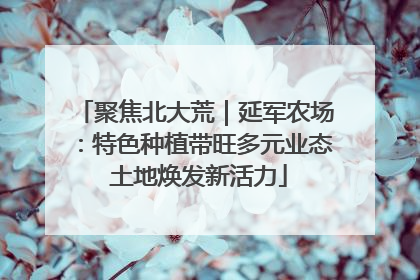 聚焦北大荒｜延军农场：特色种植带旺多元业态 土地焕发新活力
