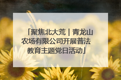 聚焦北大荒｜青龙山农场有限公司开展普法教育主题党日活动