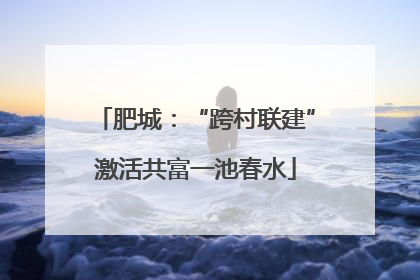 肥城：“跨村联建”激活共富一池春水